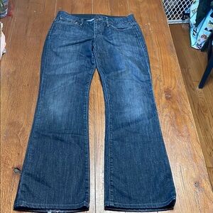Joe's Jeans Blue Flare Wide Leg Denim size 29